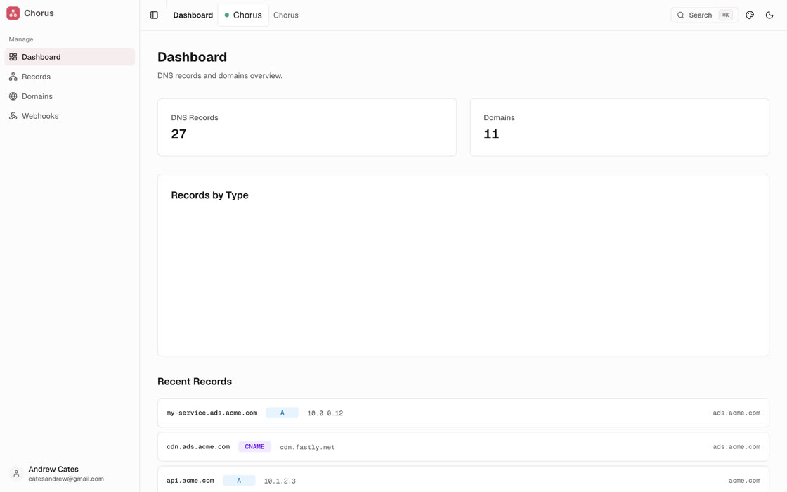 Chorus DNS dashboard showing record and domain counts